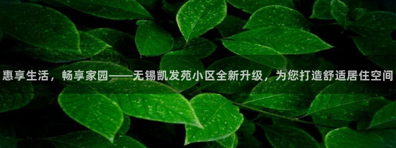 u8国际网站