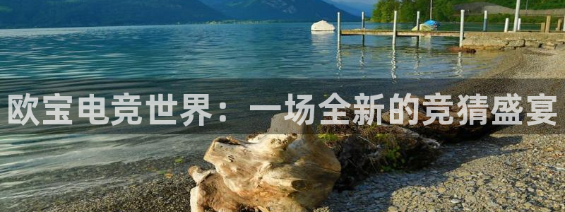 u8国际界面申领