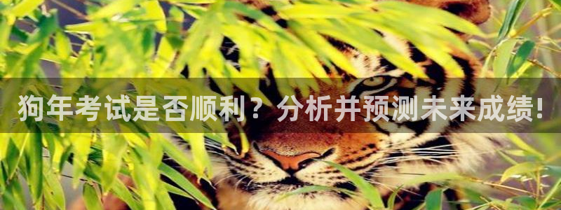 U8国际官网