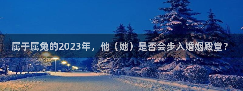 u8国际平台