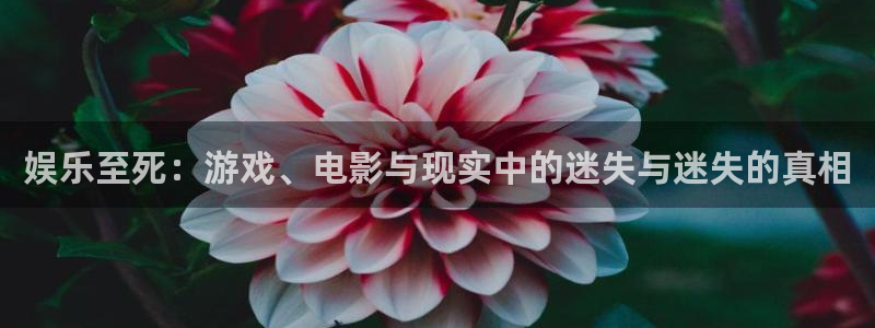 u8国际网站前言