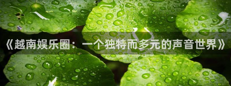 u8集团