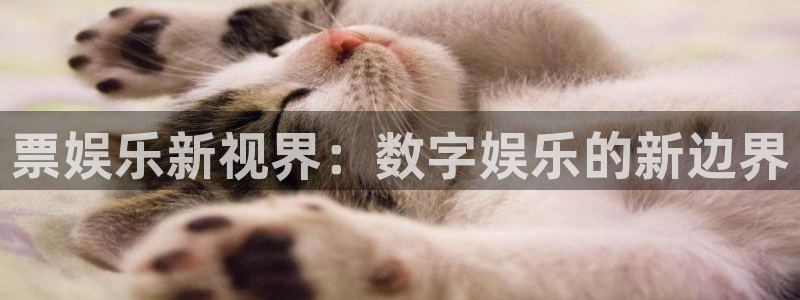 u8国际网站