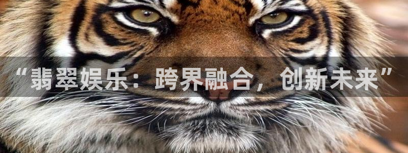 u8国际平台官网入口