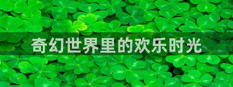 u8国际网站前言