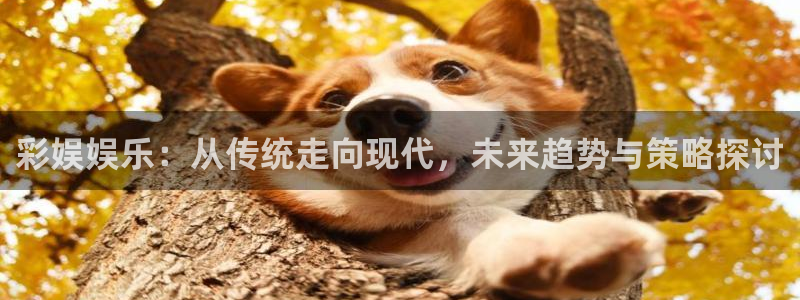u8国际登录网址