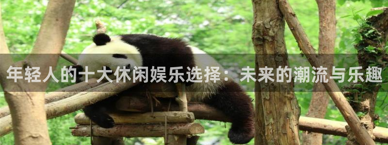 u8国际平台官网入口