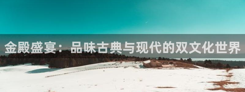 u8国际集团