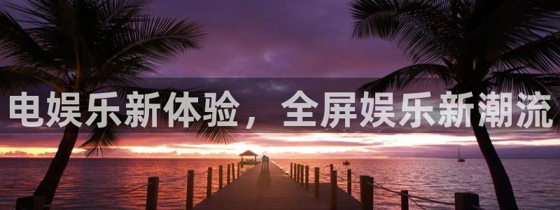 u8国际集团引商