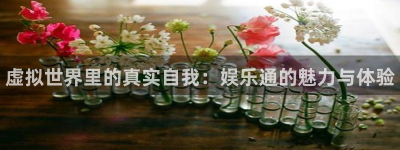 u8国际平台官网入口：虚拟世界里的真实自我：娱乐通的魅力与体验