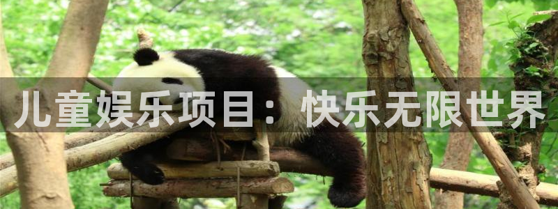 优发国际平台u8：儿童娱乐项目：快乐无限世界