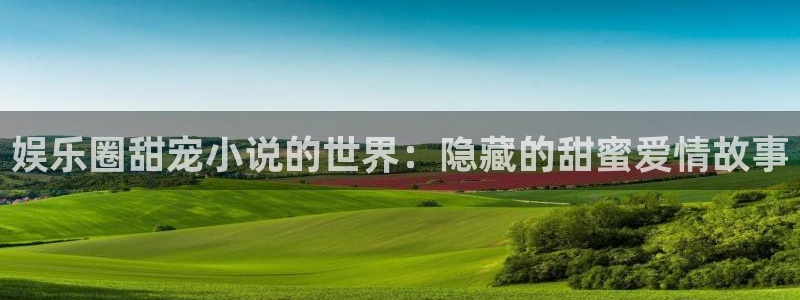 u8国际平台：娱乐圈甜宠小说的世界：隐藏的甜蜜爱情故事