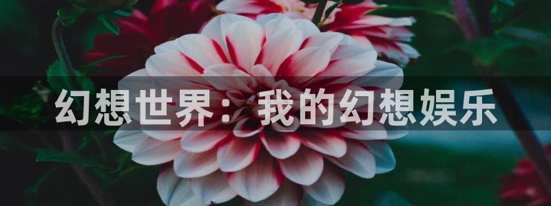 u8国际登录网址：幻想世界：我的幻想娱乐