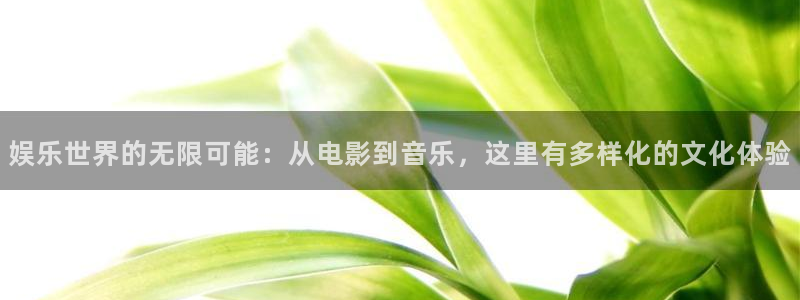 u8国际集团引商：娱乐世界的无限可能：从电影到音乐，这里有多样化的文化体验