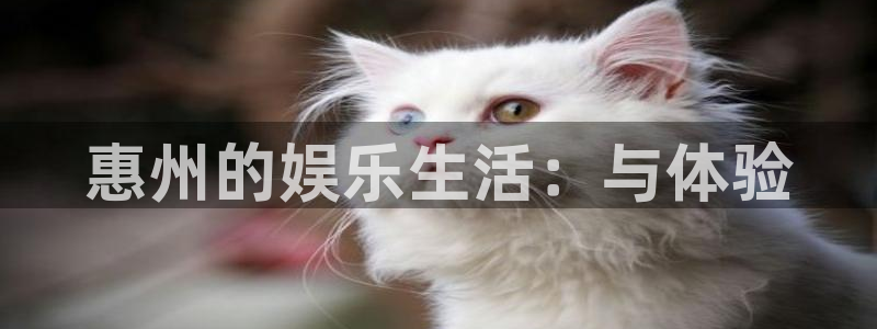 u8国际网站前言：惠州的娱乐生活：与体验