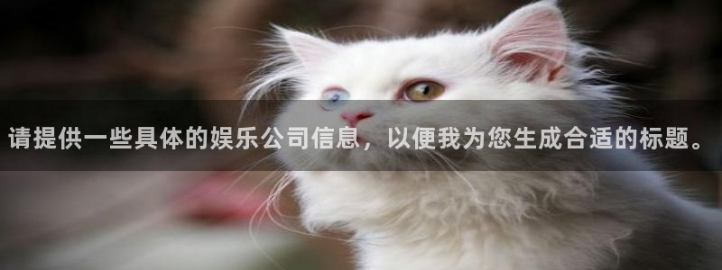 优发国际平台u8：请提供一些具体的娱乐公司信息，以便我为您生成合适的标题。
